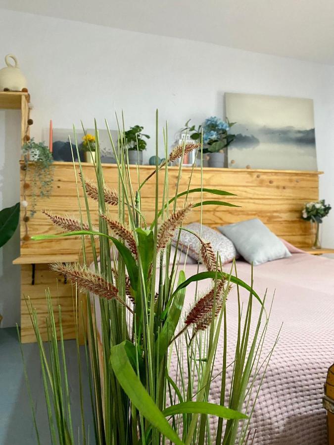 Apartment El Jardin De Lucas Arcos de la Frontera
